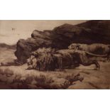 Herbert Dicksee, pair etchings of lions one titled 'Marauders' 17.5 x 25cm approx