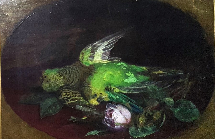 19th century oil painting unattributed, still life study of dead budgerigar and rose 16.5 x 24cm
