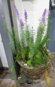 A large stoneware garden planter with flowers