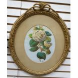 Watercolour drawing unattributed monogrammed JG, study of white rose in ornate gilt rope husk and