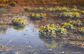 Rex Norman Preston, Oil on canvas, "Marsh Marigolds" signed and labelled to verso, 23.5 x 34cm