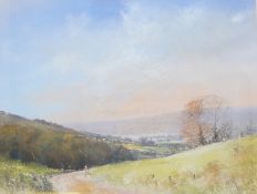 Paul Hardy  Pastel  Dartmoor view, signed lower left, 34cm x 42cm