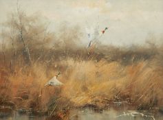 Hansing, oil on canvas, ducks in light amongst reeds, signed indistinctly 29.5 x 39cm