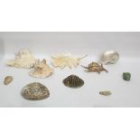 Quantity of shells to include conch shells, scallop shells, a large nautilus shell