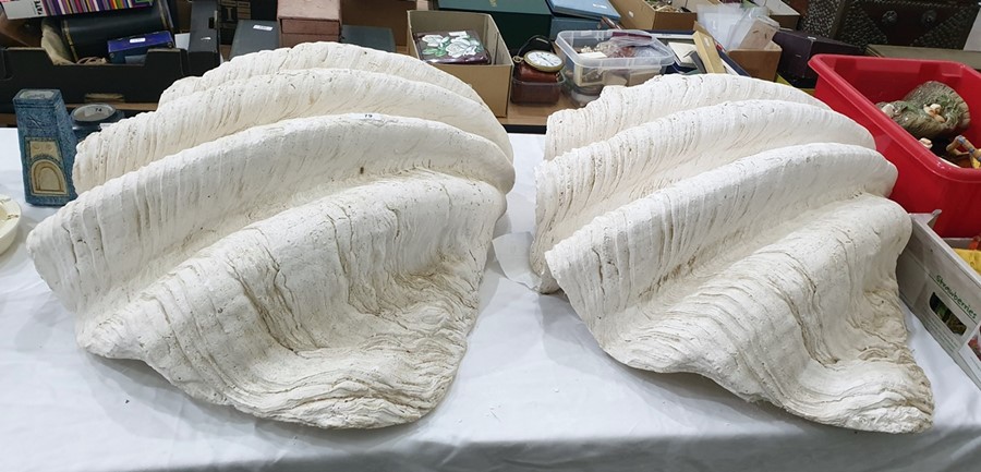 Two plaster casts of giant mollusc shells each naturalistically modelled, each approx 67 cms wide