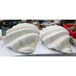 Two plaster casts of giant mollusc shells each naturalistically modelled, each approx 67 cms wide