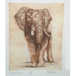 After Mark Spain Limited edition colour print "Elephant Study", 7/150, signed in pencil lower right