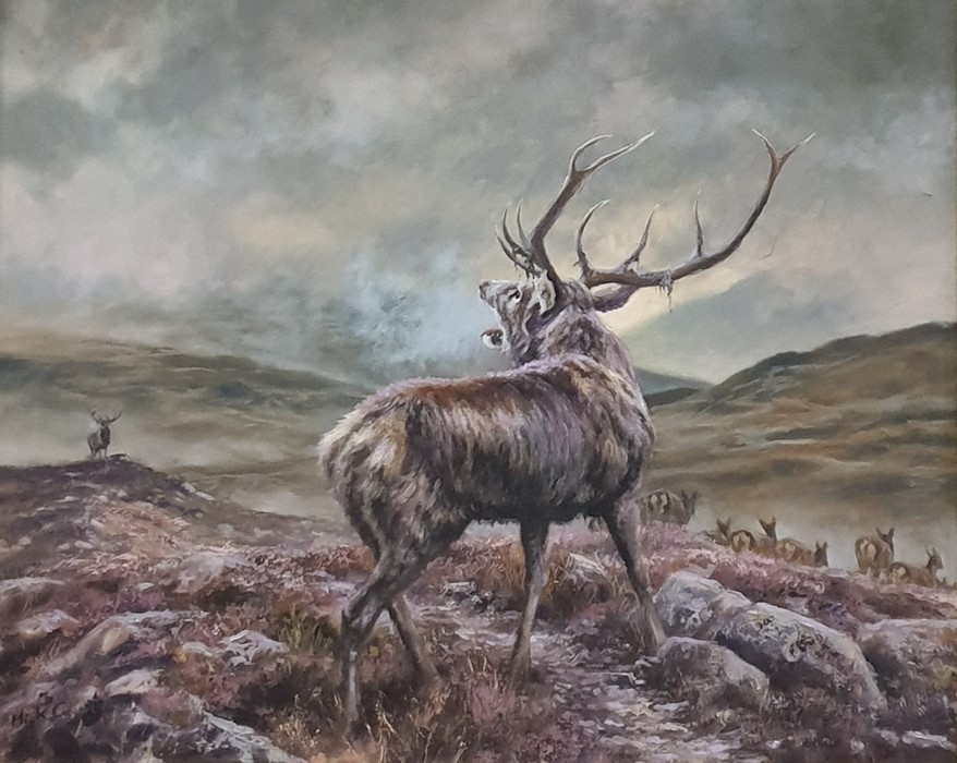 Mick Cawston  Oil on canvas Stag in landscape, signed lower left, 59.5cm x 74.5cm  Condition