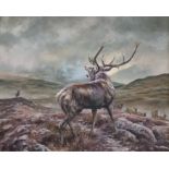 Mick Cawston  Oil on canvas Stag in landscape, signed lower left, 59.5cm x 74.5cm  Condition