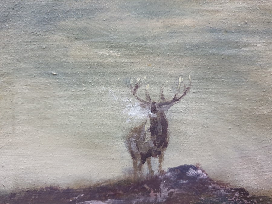 Mick Cawston  Oil on canvas Stag in landscape, signed lower left, 59.5cm x 74.5cm  Condition - Image 5 of 9