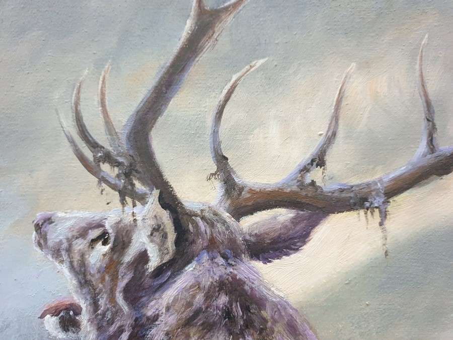 Mick Cawston  Oil on canvas Stag in landscape, signed lower left, 59.5cm x 74.5cm  Condition - Image 4 of 9