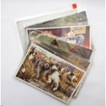 One case of assorted cards to include animals, cats, birds, insects, etc