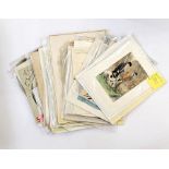 Four photograph and postcard albums, various of each unsorted including some military examples,