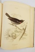 [Jardine, Sir William and Prideaux, John Selby] [W H Lizars, Edinburgh 1836-1840], "Illustrations of