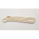 String of cultured pearls with 18ct gold bow-pattern clasp set with single pearl, 75cm long