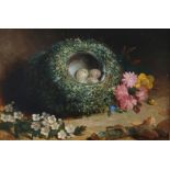 Abel Hold (1815-1891) Oil on board  Study of bird's nest with speckled eggs, white blossom and