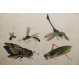 Pair chinese watercolours on rice paper - insects and a junk ( 2)
