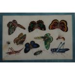 Pair 19th century Chinese paintings on rice-paper, studies of butterflies and other insects, 31cm