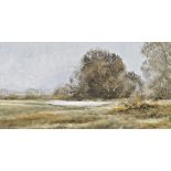 Pamela Cook Oil on board Country landscape, signed lower left, 29 x 59cm