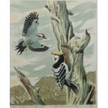 John Tennent Limited edition lithograph 9/90 "Lesser spotted woodpeckers", signed and dated 1978