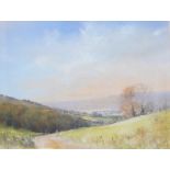 Paul Hardy  Pastel  Dartmoor view, signed lower left, 34cm x 42cm