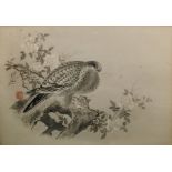 Bird studies Pen and wash Chinese characters, vari