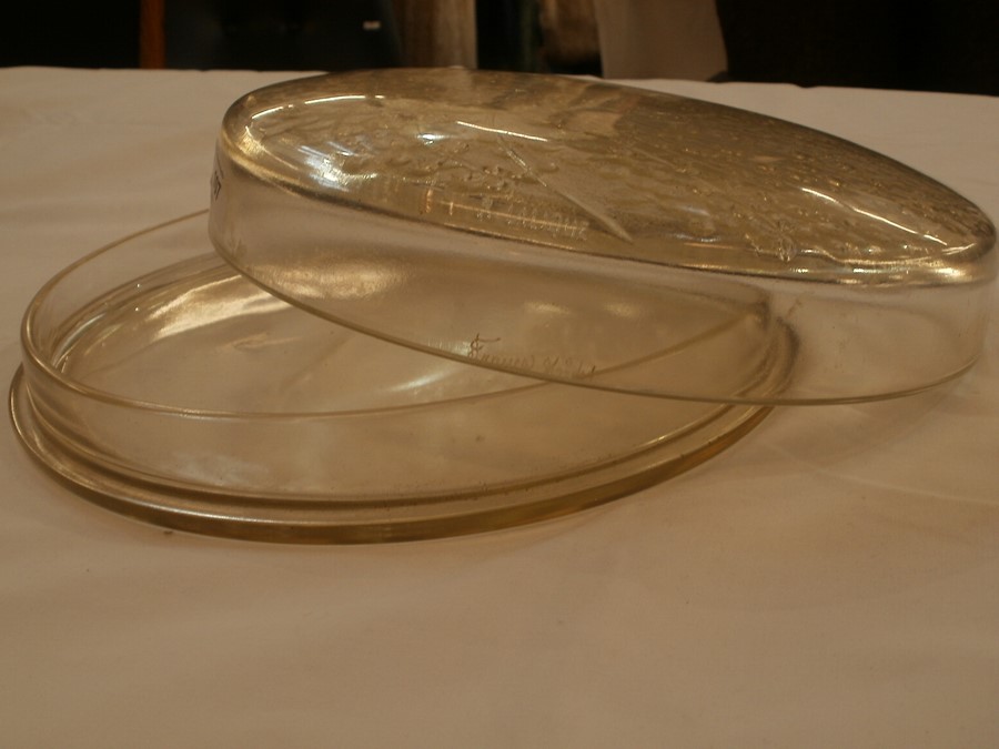 Rene Lalique Muguets pattern circular lidded box, No. 41, 26cm diameterCondition ReportBottom of - Image 5 of 9
