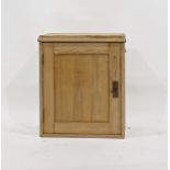 Antique pine single door cabinet enclosing shelves, 50.5cm x 60cm