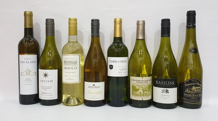 Eight bottles of assorted white wine to include Portuguese Porta Dacalada (2016) and Joseph Mellot