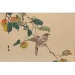 20th Century Japanese School Watercolour  Birds on a branch, signed left, together with five further