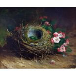 Abel Hold (1815-1891) Oil on board Study of bird's nest with eggs and pink blossom, signed and dated