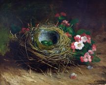 Abel Hold (1815-1891) Oil on board Study of bird's nest with eggs and pink blossom, signed and dated