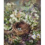 Anne Cotterill (1933-2010)  Oil on board Study of nest with eggs, honeysuckle and blossom