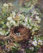 Anne Cotterill (1933-2010)  Oil on board Study of nest with eggs, honeysuckle and blossom