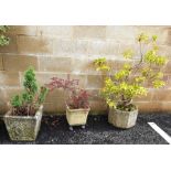 Two square composite garden planters and one planter moulded with leaves and flowers