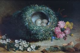 Abel Hold (1815- 1891) Oil on board Study of  bird's nest with speckled eggs, white blossom and pink