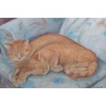 Quantity of framed watercolours and pastels including studies of cats, still lifes, floral