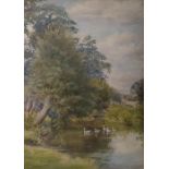 Gertrude Newton (1866-1932) Watercolour  Near South Cerney, Gloucestershire, bears various labels