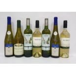 Seven bottles of assorted white wine to include Castno Ecologico Macabeo Organic 2016 and Balduzzi