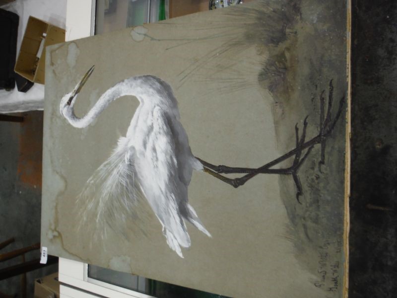 20th century English school  Watercolour drawing  Plumed white Egret, New South Wales, - Image 2 of 12