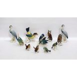 Twelve Karl Ens porcelain model birds to include: toucan, owls, budgerigar and othersCondition