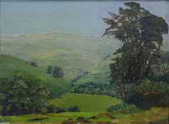 The Rt Hon Lord Justice Scott Oil on board " Welsh Uplands" landscape with view down valley, label