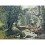 D A Chatterton Oil on canvas  Woodland river scene with rocks in foreground, signed, 50 x 65 cms