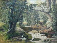 D A Chatterton Oil on canvas  Woodland river scene with rocks in foreground, signed, 50 x 65 cms