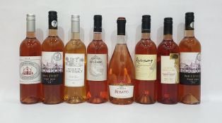 Eight bottles of assorted rose wine to include Moulin de Pontfract 2016 and Chateau de Colombe