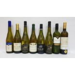Eight bottles of assorted white wine to include Carlos Plaza Macabeo 2016 and Les Grandes Cailloux