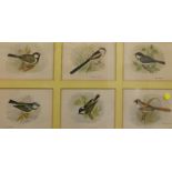 16 framed and glazed colour prints  British birds