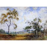 Early to mid 20th century school, trees in a field on a cloudy day, watercolour, indistinctly signed