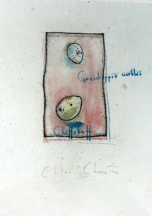 WITHDRAWN- Chloe Cheese (British, b.1952), a series of six colour etchings of eggs and shells, - Image 3 of 3