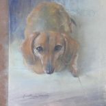 Constance Haile (20th century British), 'Pongo', pastel, signed to lower left, 45 x 37cm